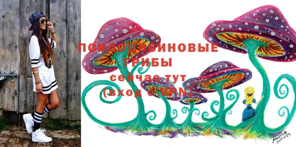 ALPHA PVP Беломорск