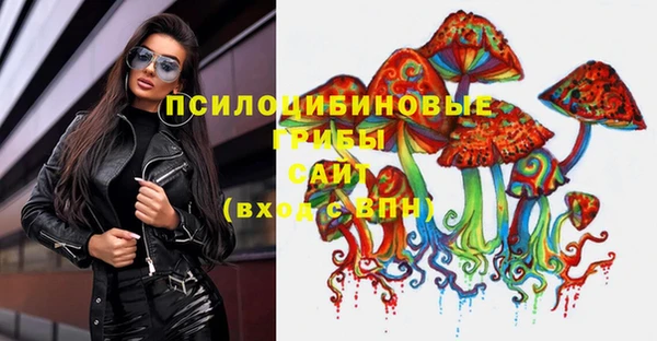 mdma Богородицк