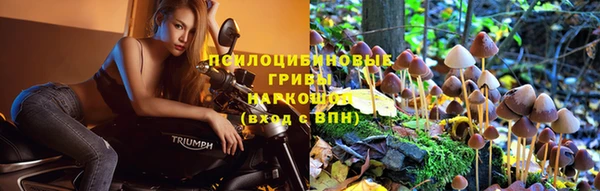 кокаин Богданович